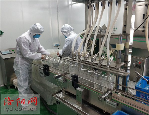 洛陽生物技術企業晝夜奮戰擴產能 全力保障防疫物資供應