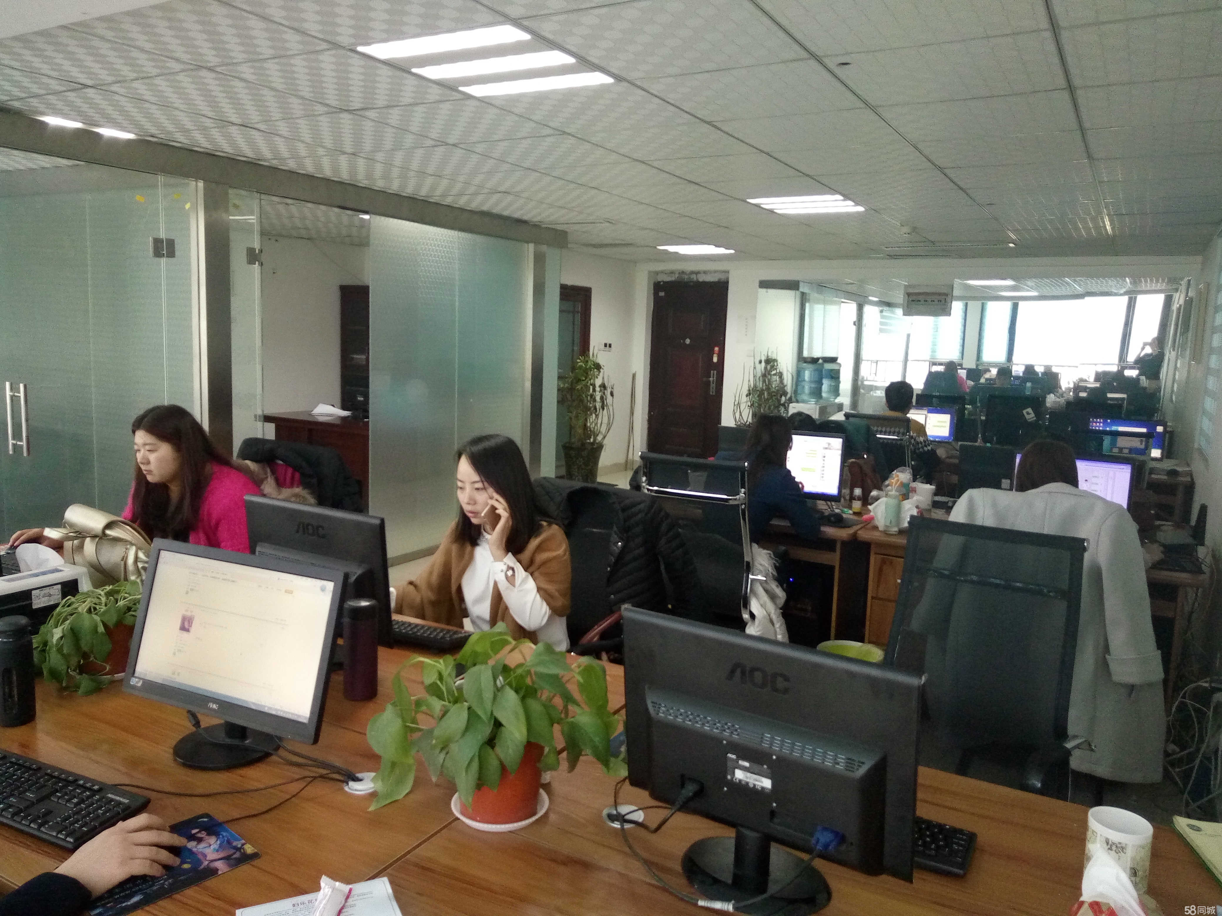 洛陽(yáng)恩億電子商務(wù) 開啟專業(yè)商務(wù)信息咨詢新篇章