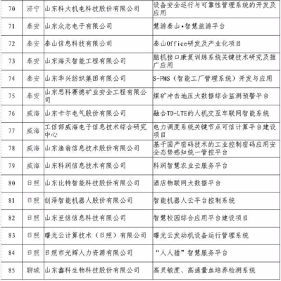日照5家企業(yè)入選省級(jí)重點(diǎn)項(xiàng)目名單，引領(lǐng)網(wǎng)絡(luò)與信息安全軟件開發(fā)新浪潮